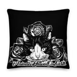 PILLOW - DESIGN BOTH SIDES/WASHABLE CASE - BLACK - CAT - AHOE
