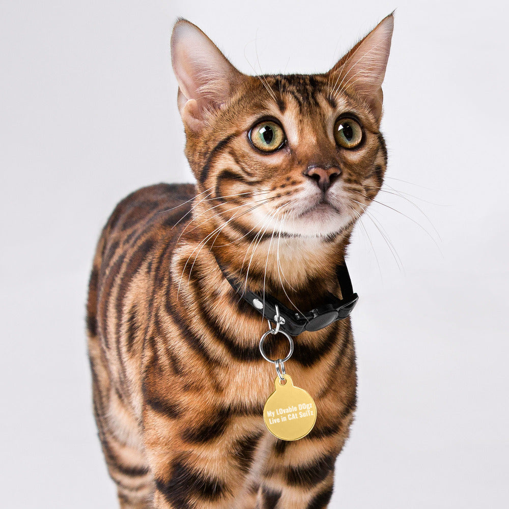 Pet ID Tag - My Lovable Dogz Live in Cat Suitz - Engraved Pet ID Tag