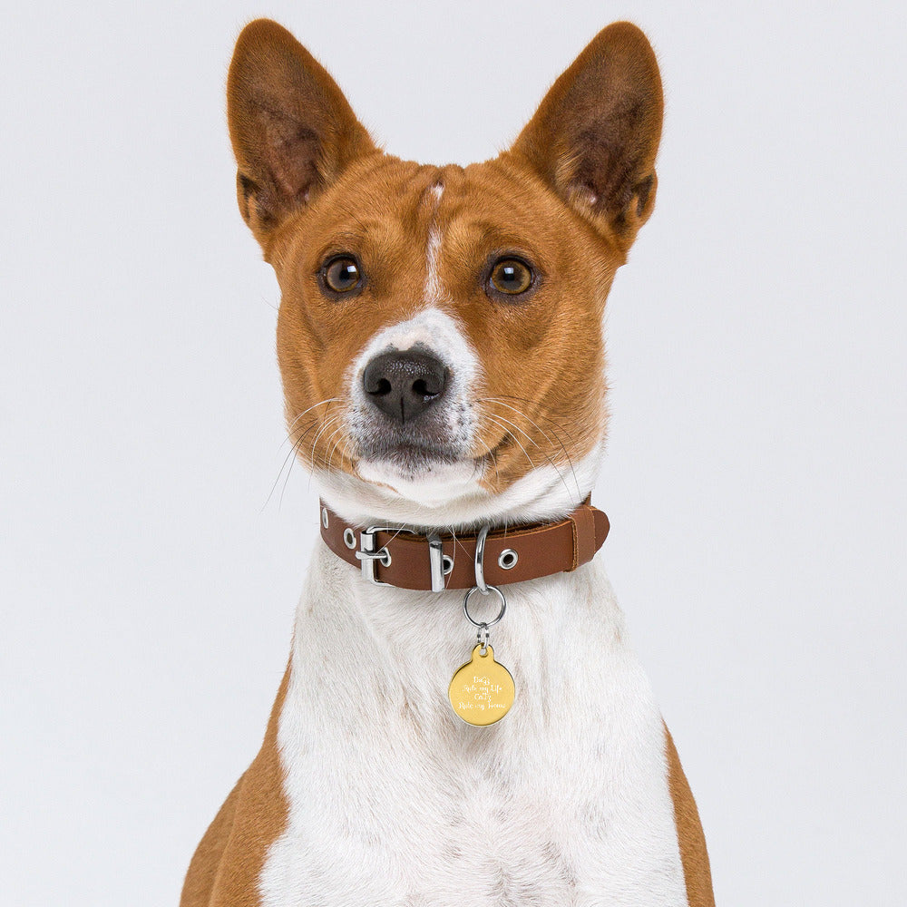 Pet ID Tag - Dogz Rule My Life/Catz Rule My Home - Engraved Pet ID Ttag