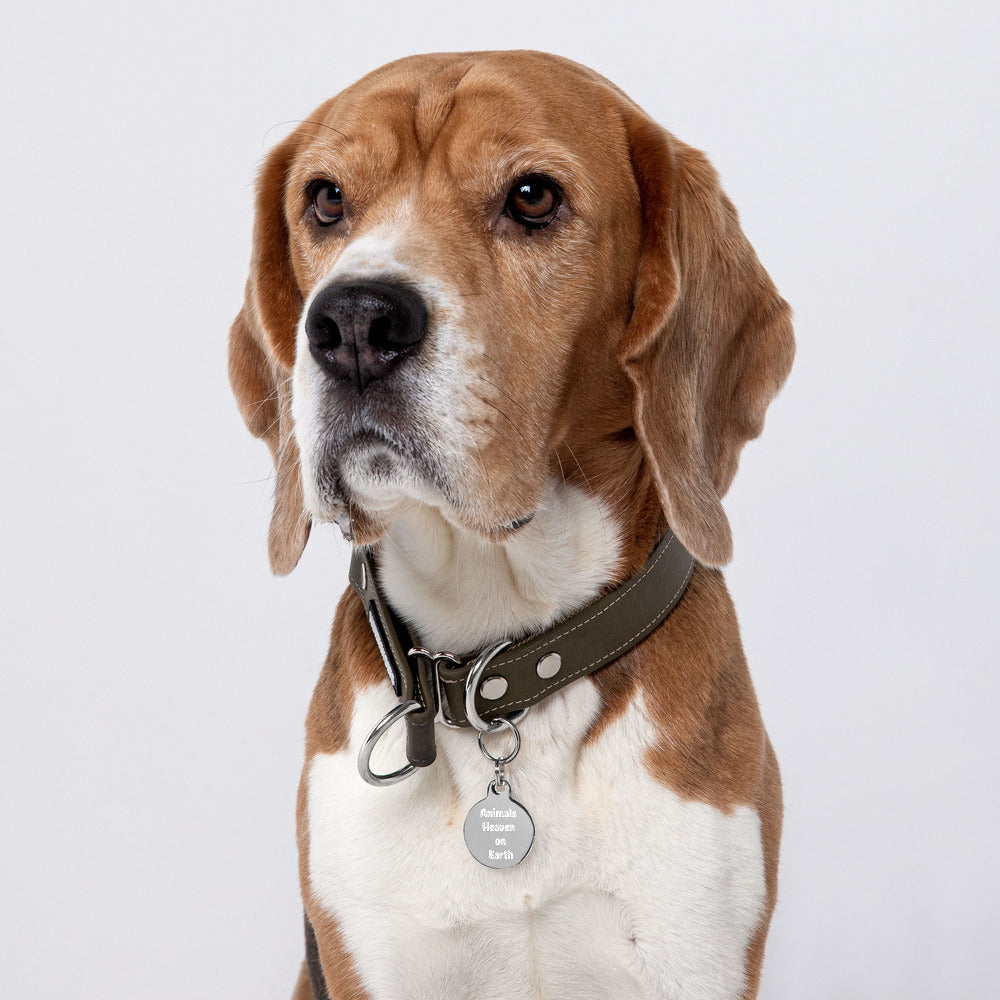 Pet ID Tag - Animals Heaven On Earth - Engraved Pet ID Tag